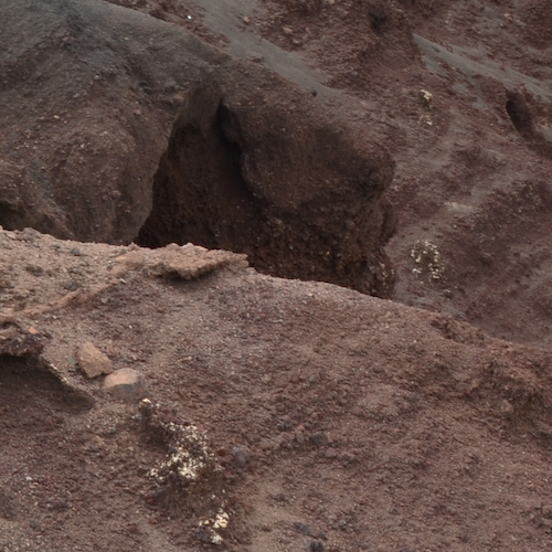 stay out of their way