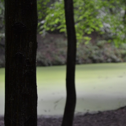 WHAT'S ON BEAR CREEK TV TONITE.