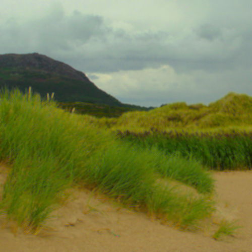 BEAR CREEK BEACH ADVICE &amp; GUIDELINES PAMPHLET.