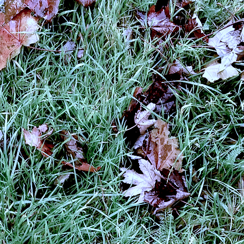 List of songs that make me think about leah