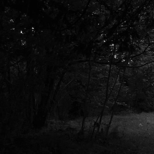 The Collapse and the Dreams