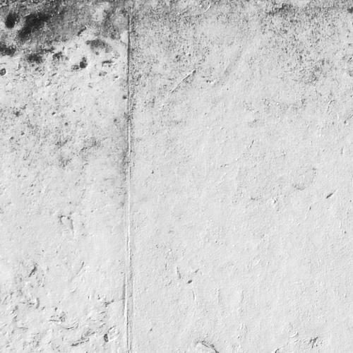 The Palace on the Shore (B)