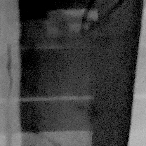 The Horse on the Other Side of the Road