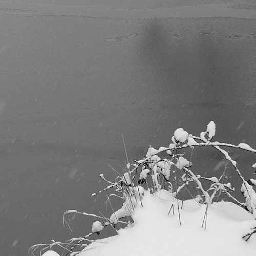 stopmotion-woolly-mammoth